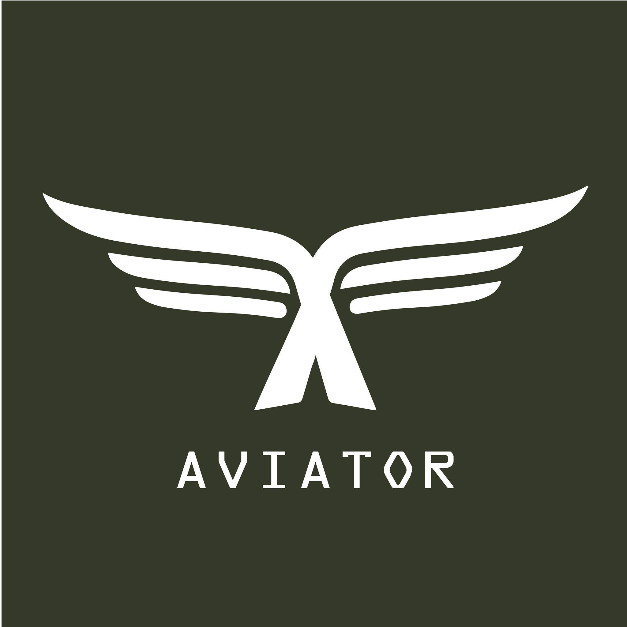 Aviator Mods